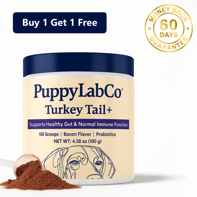 Eliminate small bumps on your dog