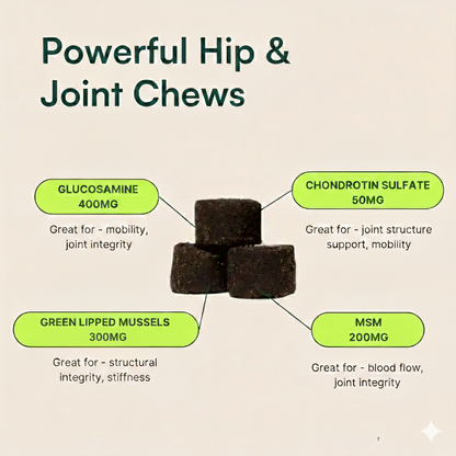 "Protect your dog's joints and hips naturally with Wuffu's New Zealand Green-Lipped Mussel"