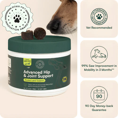 "Protect your dog's joints and hips naturally with Wuffu's New Zealand Green-Lipped Mussel"